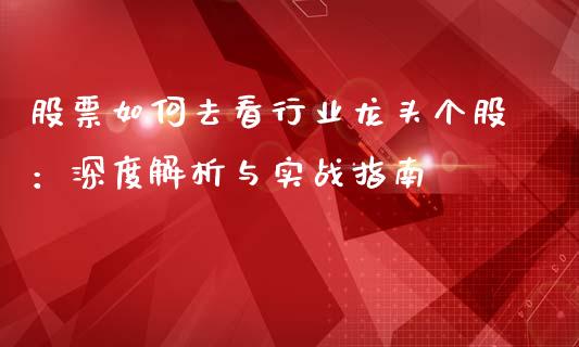 股票如何去看行业龙头个股：深度解析与实战指南_https://cj002.lansai.wang_财经百问_第1张