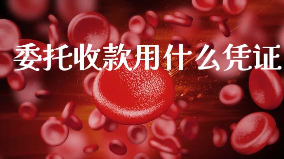 委托收款用什么凭证_https://cj002.lansai.wang_会计问答_第1张