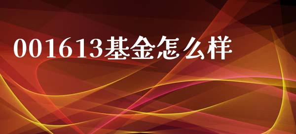 001613基金怎么样_https://cj002.lansai.wang_金融问答_第1张
