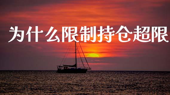 为什么限制持仓超限_https://cj002.lansai.wang_期货问答_第1张