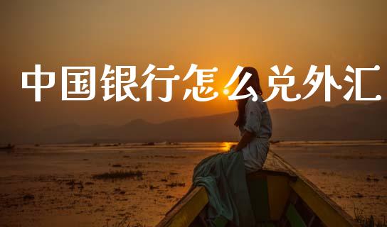 中国银行怎么兑外汇_https://cj002.lansai.wang_财经问答_第1张