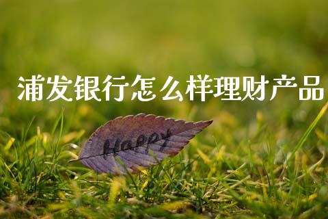 浦发银行怎么样理财产品_https://cj002.lansai.wang_期货问答_第1张