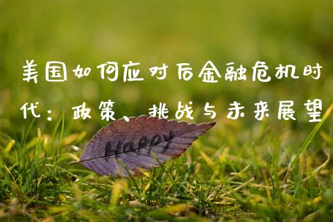 美国如何应对后金融危机时代：政策、挑战与未来展望_https://cj002.lansai.wang_财经问答_第1张