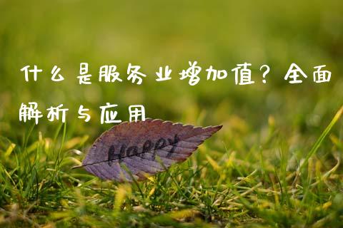 什么是服务业增加值？全面解析与应用_https://cj002.lansai.wang_会计问答_第1张