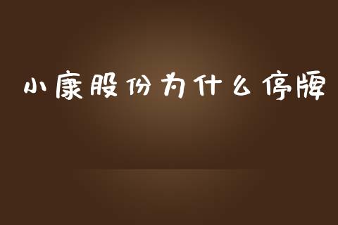 小康股份为什么停牌_https://cj002.lansai.wang_股市问答_第1张