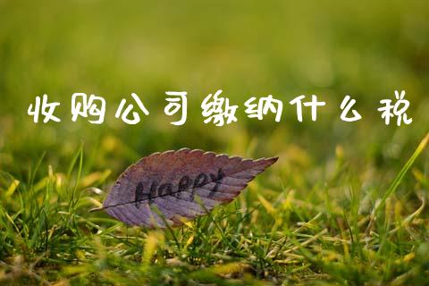 收购公司缴纳什么税_https://cj002.lansai.wang_会计问答_第1张