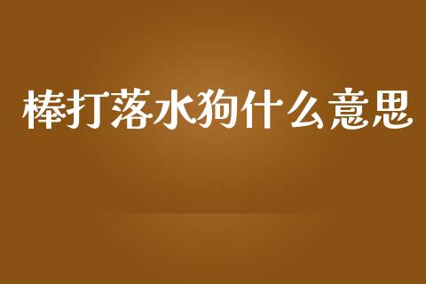 棒打落水狗什么意思_https://cj002.lansai.wang_财经百问_第1张