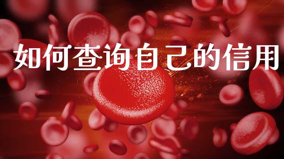 如何查询自己的信用_https://cj002.lansai.wang_期货问答_第1张