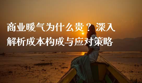 商业暖气为什么贵？ 深入解析成本构成与应对策略_https://cj002.lansai.wang_会计问答_第1张