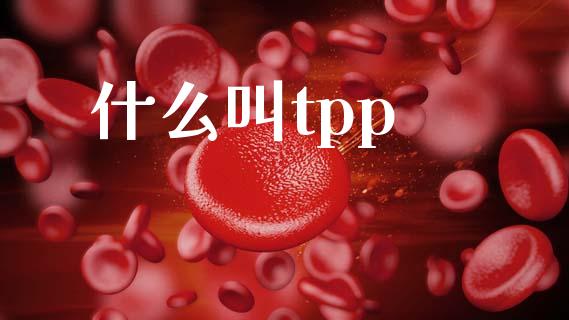 什么叫tpp_https://cj002.lansai.wang_期货问答_第1张