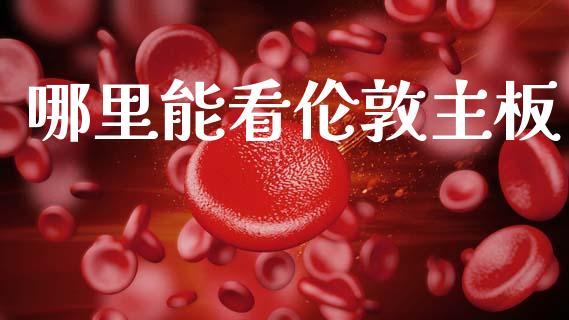 哪里能看伦敦主板_https://cj002.lansai.wang_会计问答_第1张