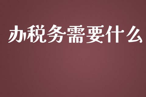 办税务需要什么_https://cj002.lansai.wang_会计问答_第1张