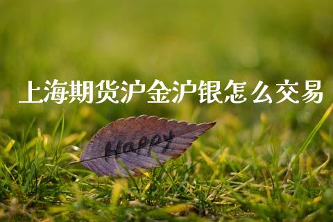 上海期货沪金沪银怎么交易_https://cj002.lansai.wang_会计问答_第1张