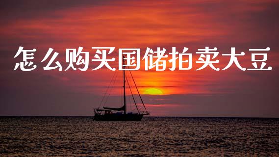 怎么购买国储拍卖大豆_https://cj002.lansai.wang_财经问答_第1张