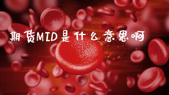 期货MID是什么意思啊_https://cj002.lansai.wang_期货问答_第1张