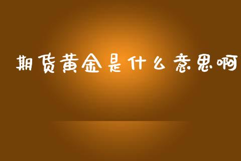 期货黄金是什么意思啊_https://cj002.lansai.wang_金融问答_第1张