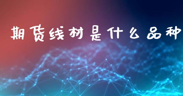 期货线材是什么品种_https://cj002.lansai.wang_财经问答_第1张