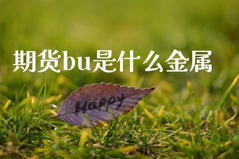 期货bu是什么金属_保险问答_第1张_财经百问网 期货bu是什么金属_https://cj002.lansai.wang_保险问答_第1张