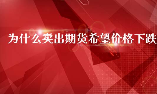 为什么卖出期货希望价格下跌_https://cj002.lansai.wang_会计问答_第1张