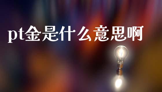pt金是什么意思啊_https://cj002.lansai.wang_股市问答_第1张