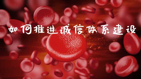 如何推进诚信体系建设_https://cj002.lansai.wang_财经百问_第1张