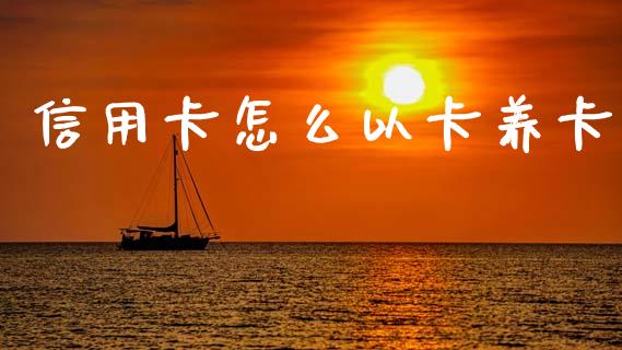 信用卡怎么以卡养卡_https://cj002.lansai.wang_期货问答_第1张
