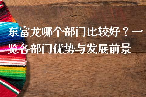 东富龙哪个部门比较好？一览各部门优势与发展前景_https://cj002.lansai.wang_财经百问_第1张
