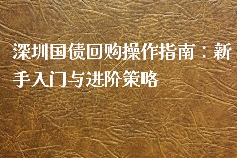 深圳国债回购操作指南：新手入门与进阶策略_https://cj002.lansai.wang_股市问答_第1张