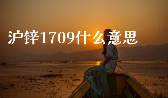 沪锌1709什么意思_股市问答_第1张_财经百问网 沪锌1709什么意思_https://cj002.lansai.wang_股市问答_第1张