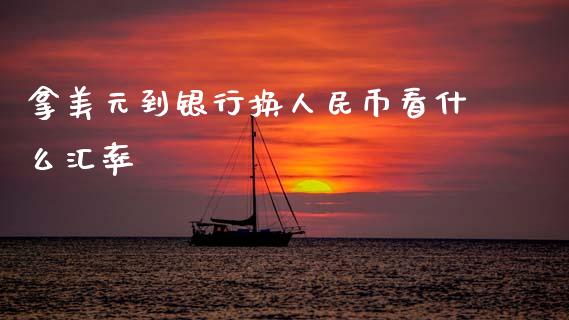 拿美元到银行换人民币看什么汇率_https://cj002.lansai.wang_金融问答_第1张