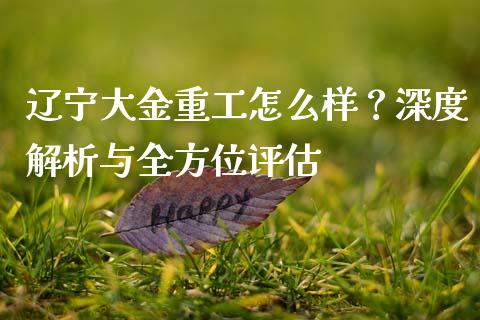 辽宁大金重工怎么样？深度解析与全方位评估_https://cj002.lansai.wang_财经问答_第1张
