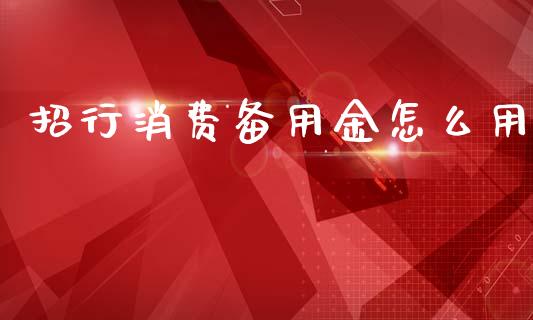 招行消费备用金怎么用_https://cj002.lansai.wang_金融问答_第1张