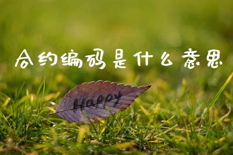 合约编码是什么意思_https://cj002.lansai.wang_股市问答_第1张