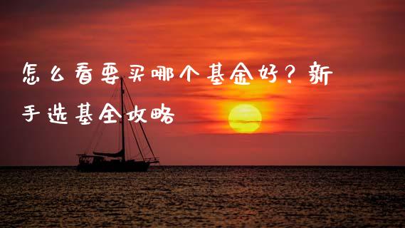 怎么看要买哪个基金好？新手选基全攻略_https://cj002.lansai.wang_理财问答_第1张