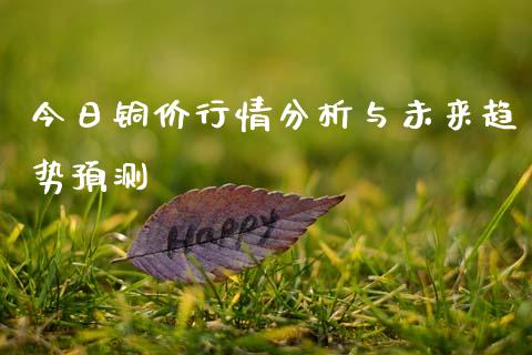今日铜价行情分析与未来趋势预测_https://cj002.lansai.wang_财经问答_第1张