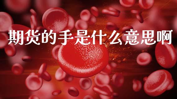 期货的手是什么意思啊_https://cj002.lansai.wang_股市问答_第1张