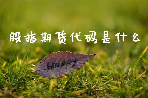 股指期货代码是什么_https://cj002.lansai.wang_财经百问_第1张