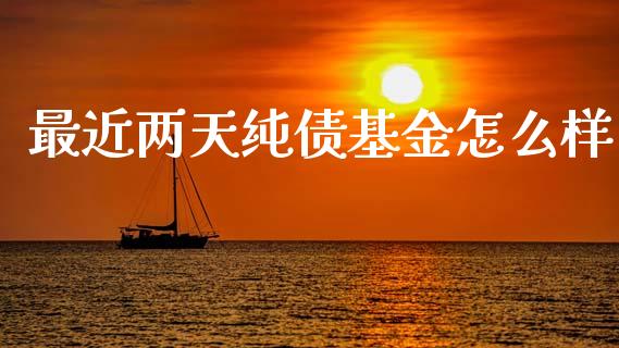 最近两天纯债基金怎么样_https://cj002.lansai.wang_财经百问_第1张