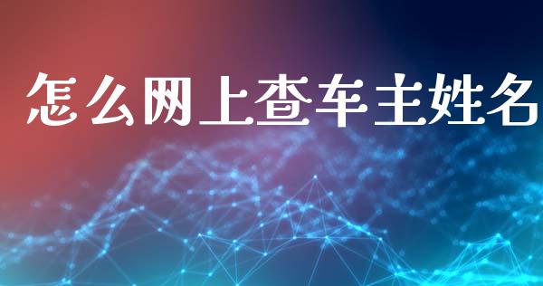 怎么网上查车主姓名_https://cj002.lansai.wang_保险问答_第1张