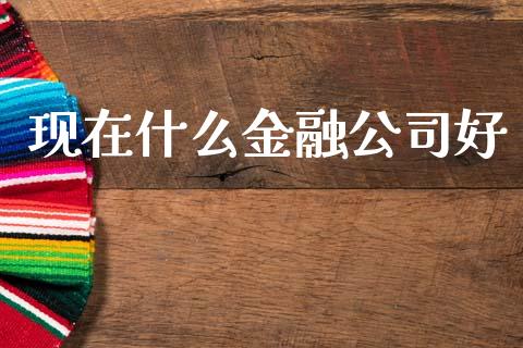 现在什么金融公司好_https://cj002.lansai.wang_理财问答_第1张