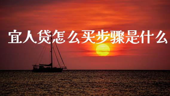 宜人贷怎么买步骤是什么_https://cj002.lansai.wang_财经问答_第1张