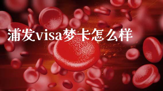 浦发visa梦卡怎么样_https://cj002.lansai.wang_理财问答_第1张