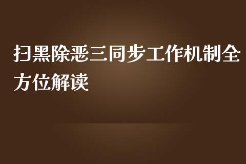 扫黑除恶三同步工作机制全方位解读_https://cj002.lansai.wang_保险问答_第1张