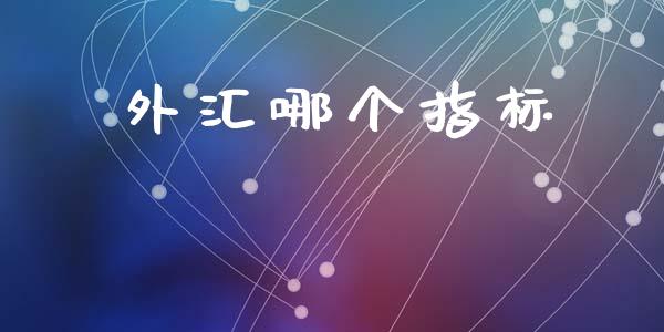 外汇哪个指标_https://cj002.lansai.wang_财经问答_第1张