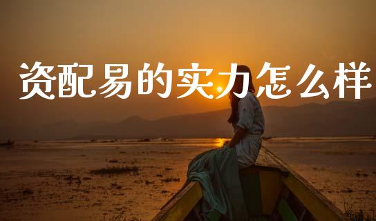 资配易的实力怎么样_https://cj002.lansai.wang_股市问答_第1张