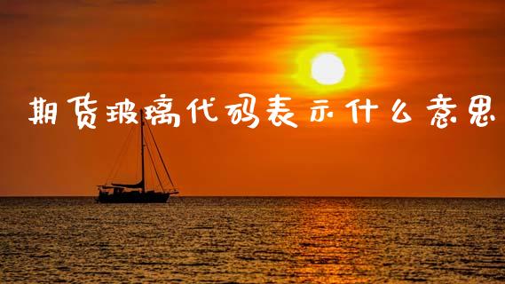 期货玻璃代码表示什么意思_https://cj002.lansai.wang_股市问答_第1张