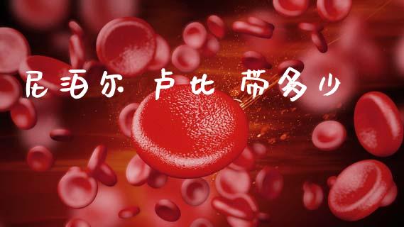 尼泊尔 卢比 带多少_https://cj002.lansai.wang_财经问答_第1张