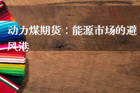 动力煤期货：能源市场的避风港_https://cj002.lansai.wang_财经问答_第1张
