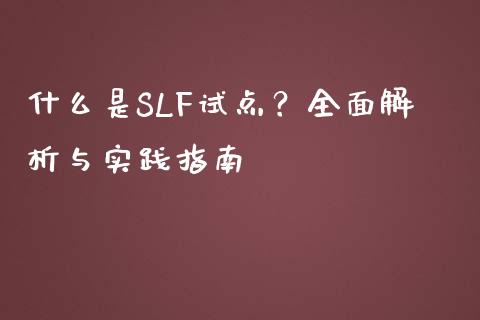 什么是SLF试点?全面解析与实践指南_财经问答_第1张_财经百问网 什么是SLF试点?全面解析与实践指南_https://cj002.lansai.wang_财经问答_第1张