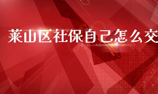 莱山区社保自己怎么交_https://cj002.lansai.wang_保险问答_第1张